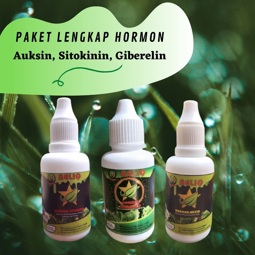Paket Lengkap Hormon, Auksin, Sitokinin, Giberelin, Penumbuh Tunas dan Akar, Tanaman Hias dan Buah