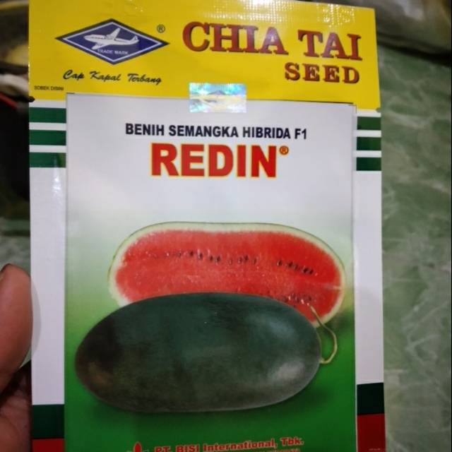 Bibit semangka inul "REDIN F1" 20 gr