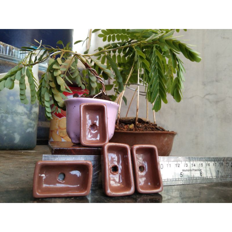 pot keramik bonsai mini