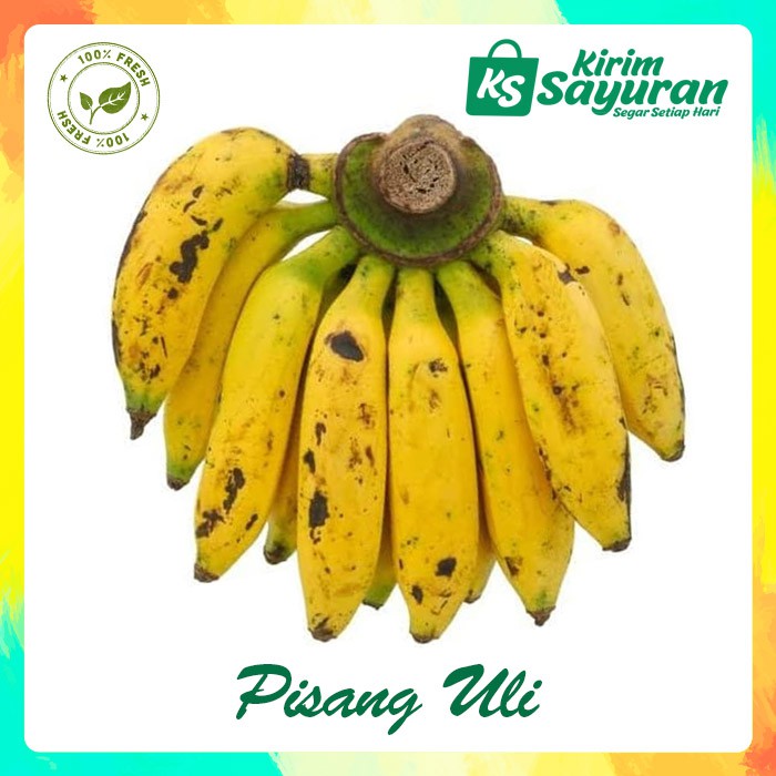 Pisang Uli