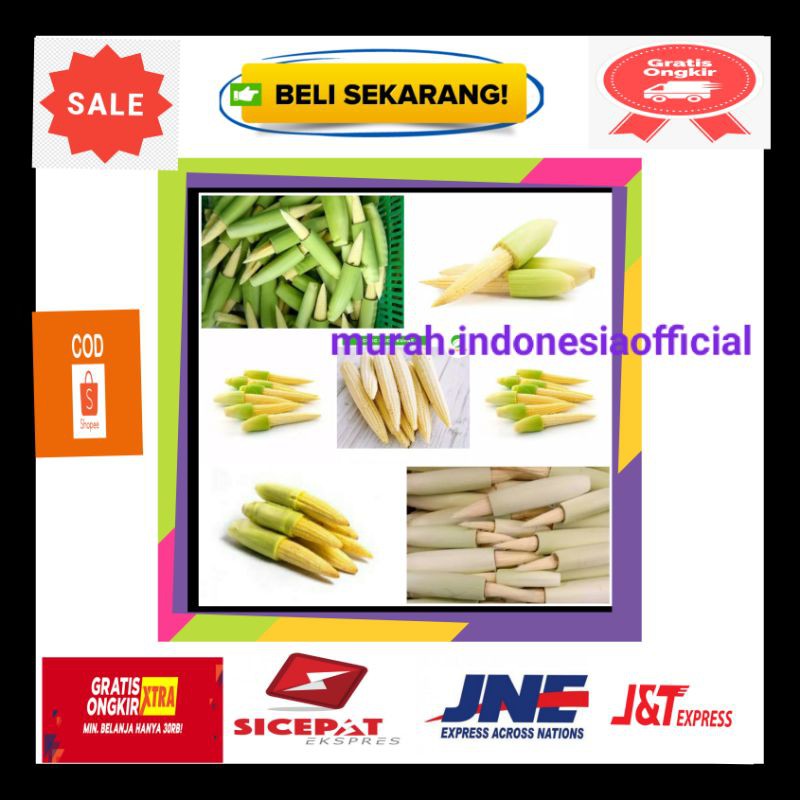 

jagung baby/kecil/sayuran acar organik/jagung muda manis fresh segar /soleng jagung/sop