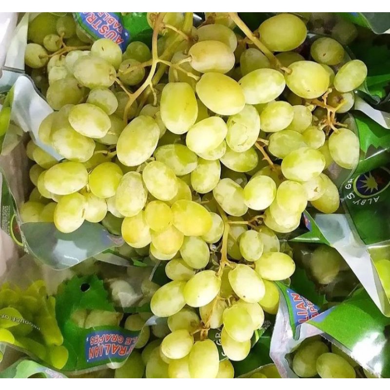 

Anggur hijau USA500GR-1KG/BUAH ANGGUR HIJAU MANIS FRESH