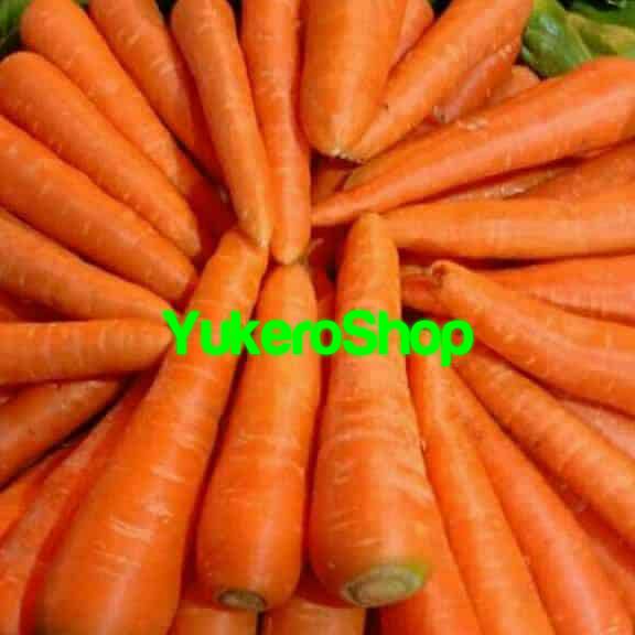 

Wortel Brastagi / Wortel Berastagi per KG
