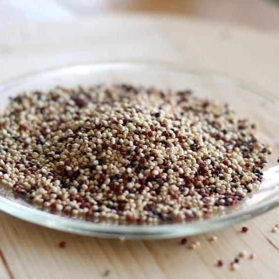 

Quinoa Tricolor - 1 kg