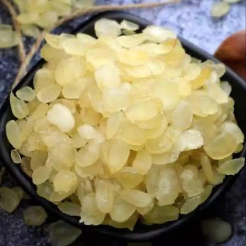 

SNOW LOTUS SEED REPACK / HONEY LOCUST / TERATAI SALJU