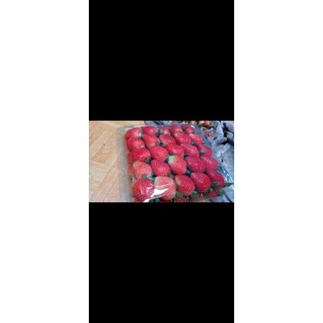 

(10kg) STRAWBERRY FRESH