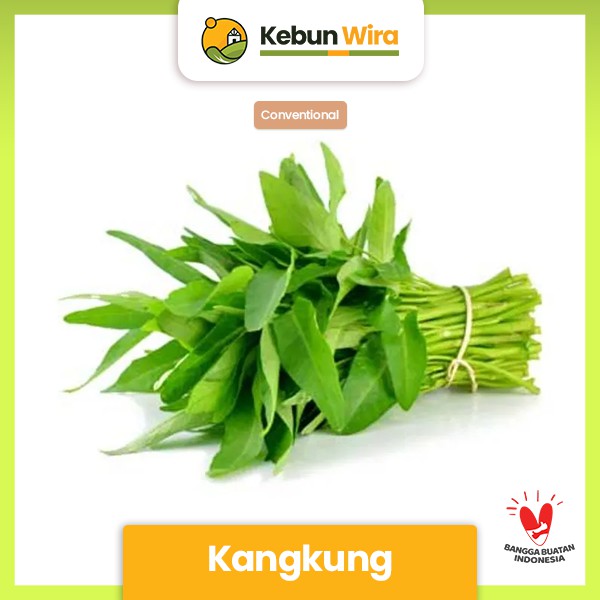 

Kangkung Conventional