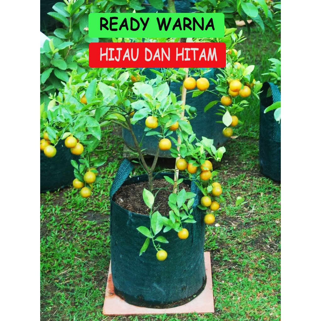 Planter bag 35 Liter EASY GROW Planterbag 35liter easygrow kantong Pot polybag semai benih bibit Tanaman bunga sayuran buah planter bag