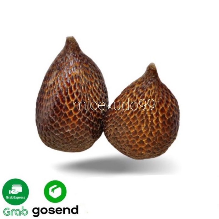 

SALAK PONDOH 500GR BUAH SEGAR / SNAKE FRUIT FRESH FRUITS