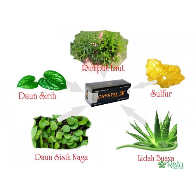 CRYSTAL X - CRISTAL X - KRISTAL X - NCX - KRYSTAL X - CRYSTAL X ORIGINAL - CRISTAL X ORIGINAL