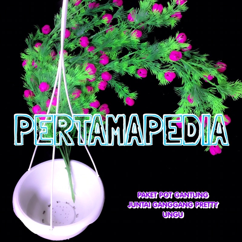 PAKET JUNTAI GANGGANG PRETTY PRITI+POT GANTUNG/Bunga Plastik/Daun Rambat Plastik/Busa Bunga/Dekorasi