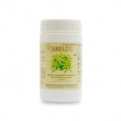 

Sambiloto 60 kapsul - membantu meringankan kencing manis