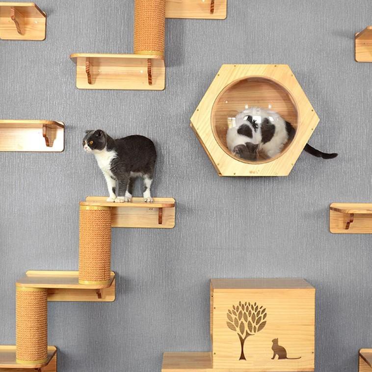 Rumah Kucing Lompat Dinding - Kotak Kucing - Kandang Kucing - Tipe 