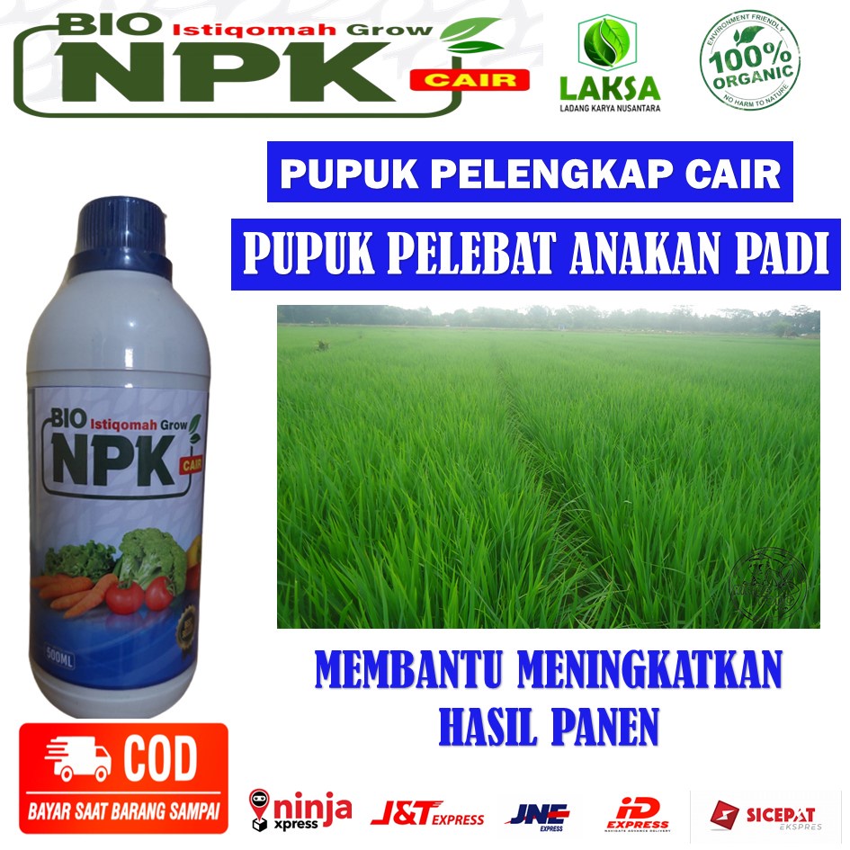 PROMO MURAH - OBAT PELEBAT ANAKAN PADI PUPUK BIO ISTIQOMAH GROW UNTUK PADI - Pupuk Cair Pelebat Anak