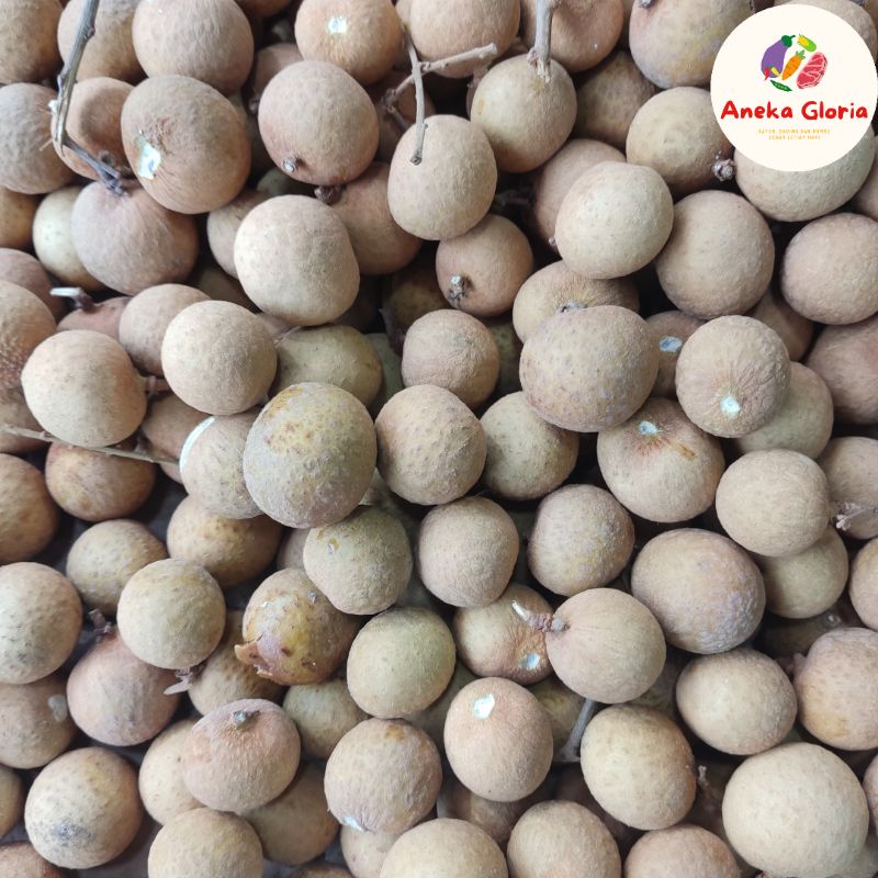 

Buah Kelengkeng Segar 500 gr & 1 KG