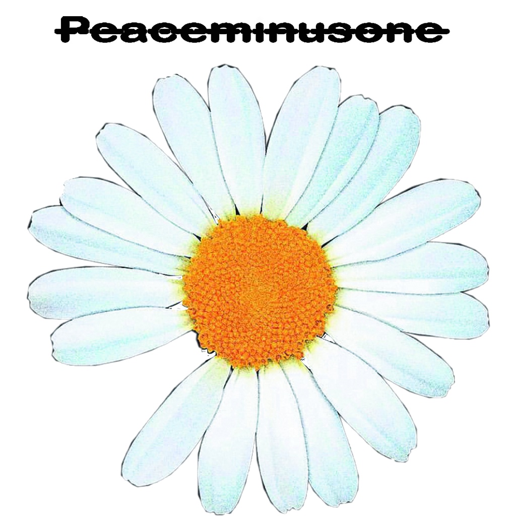 Kaos Oversize Peace Flower