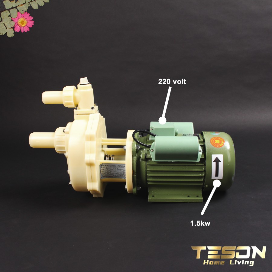 Pompa Kimia Cairan Asam 40FS(Z)20 220V Chemical Pump (Tanpa Dipancing) Teson Homeliving