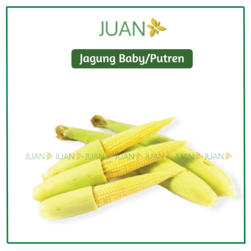 

Jagung Muda/Jagung Baby/Putren 250gr - Juan Fresmart