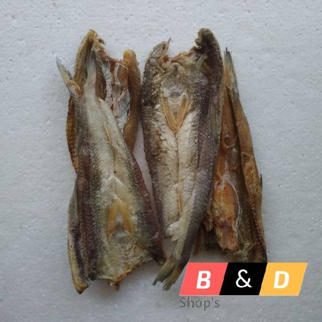 

Ikan Asin Gabus Laut Super Netto 1 Kg.