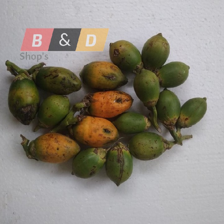 

Buah Pinang | Buah Jambe Obat Tradisional Netto 1 Kg.