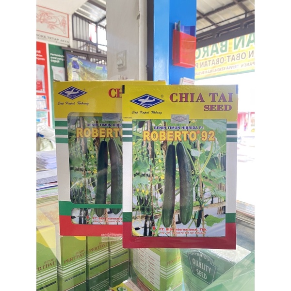 Benih/Bibit Timun Jepang Hibrida F1 Roberto 92