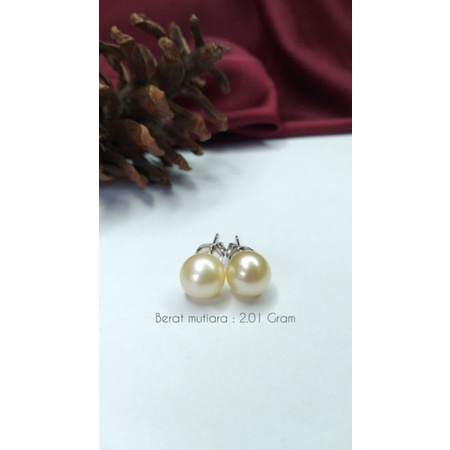 Mutiara Lombok Asli | Giwang rhodium mutiara air laut