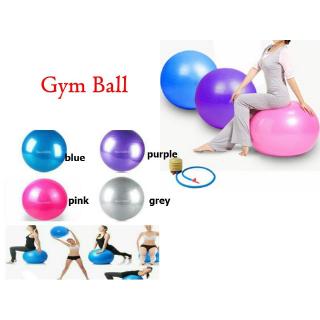 F027 Gym Ball / Bola fitnes / bola yoga Bonus Pompa Tangan