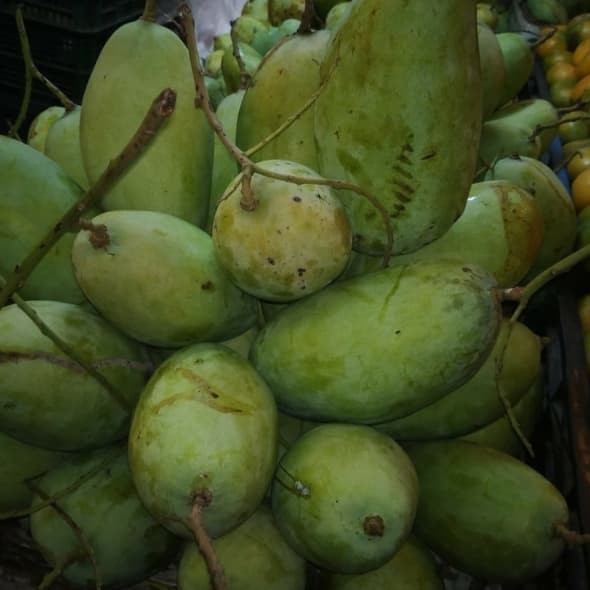 

Mangga Budi Raja (Mangga rujak) 1kg