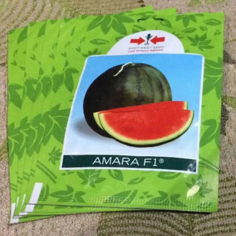 4 benih semangka merah non biji f1 unggul