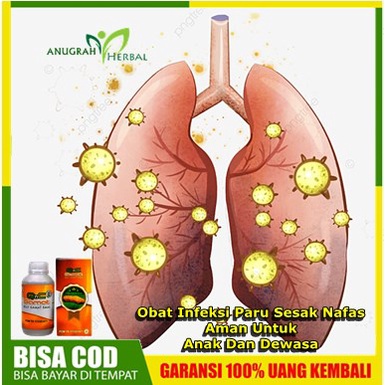 Obat Infeksi Paru Sesak Nafas Aman Untuk Anak Dan Dewasa - Herbal Infeksi Paru2, Tbc / tb Paru Paru