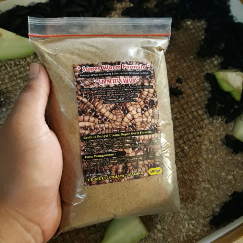 Nutrisi Ulat Jerman Dan Kumbang Jerman Bisa COD