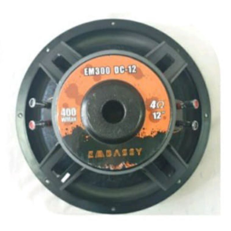Speaker Subwoofer 12 Inch Embassy EM 300 DC12