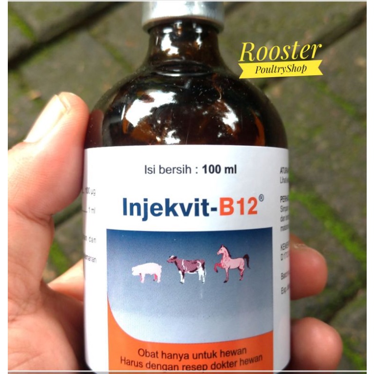 Vitamin Suplemen Multivitamin Hewan Ayam Kuda Kambing Domba Sapi Babi B12 injeksi 100 ml