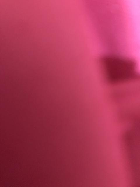 Kapur Barus Swallow Toilet Colour Ball 200 Gram