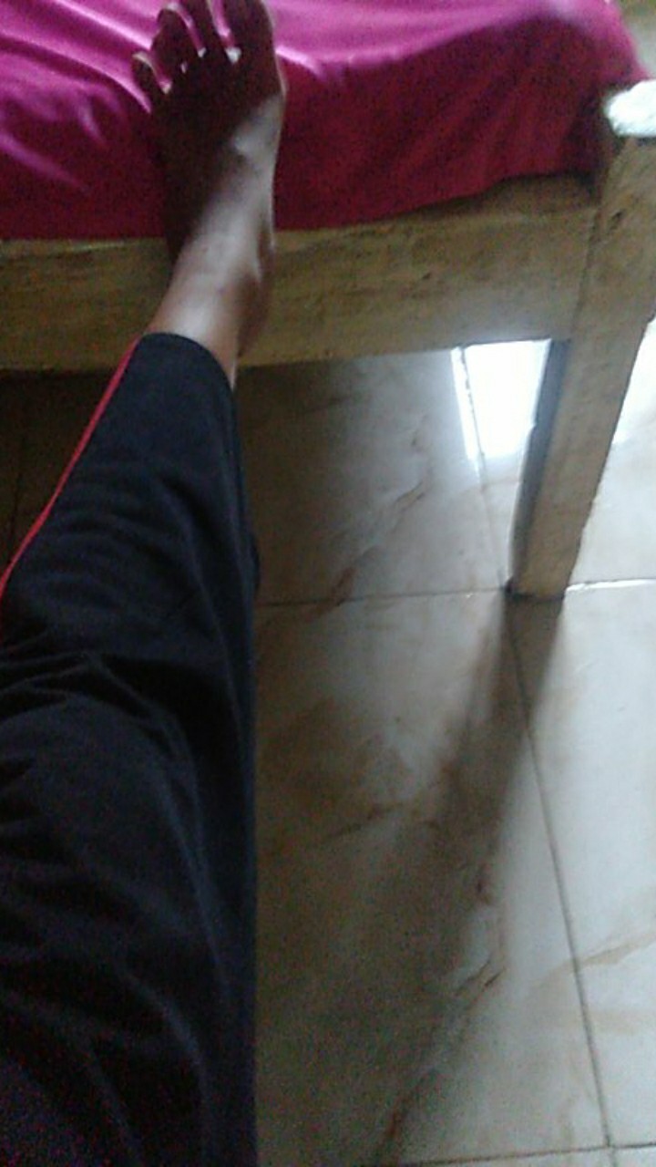 Bunga Peony Mangkok Sedang