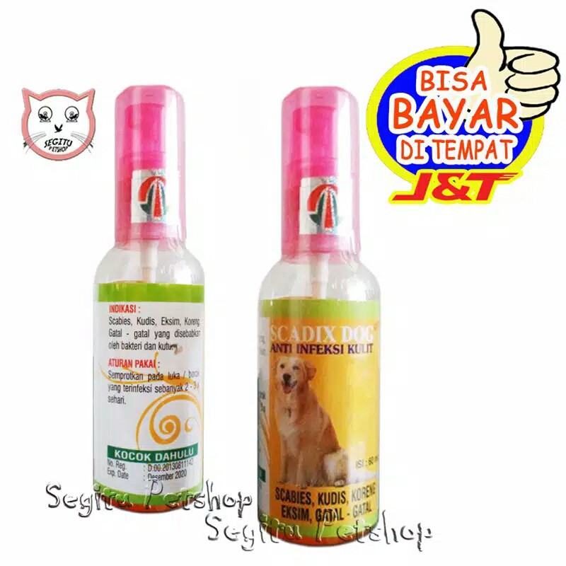OBAT ANJING GATAL GATAL KORENG KULIT LUKA KORENG SCADIX DOG