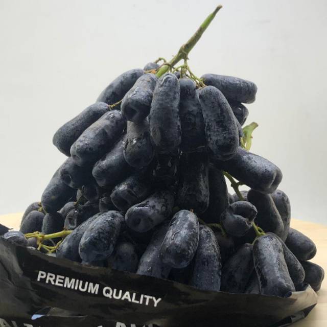 

Anggur hitam premium manis Australia 1000gr