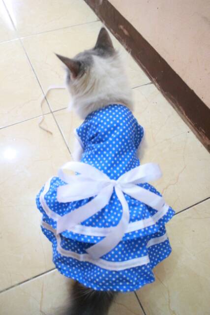 Dress polkadot biru muda lucu untuk kucing murah size S M L XL baju lucu terlaris se indonesia