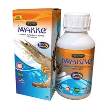 

Iwakke Udang