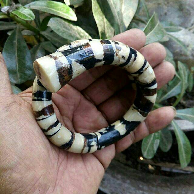 Gelang akar bahar gringsing