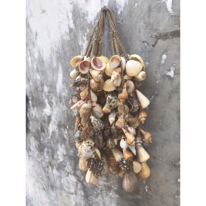 gantungan hiasan dinding kerang