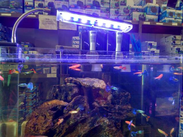 Lampu aquarium aquascape model jepit LED SEA STAR 340T