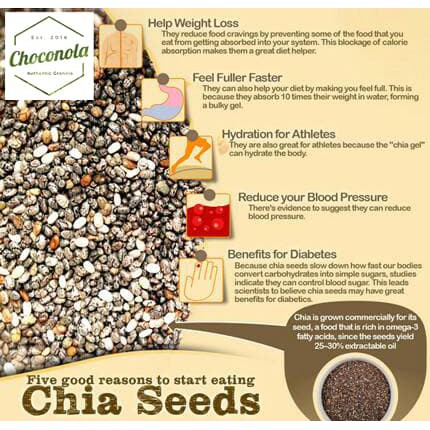 

Choconola Organic Black Chia Seed 500g (Chiaseed 500 gr gram / 500gr)