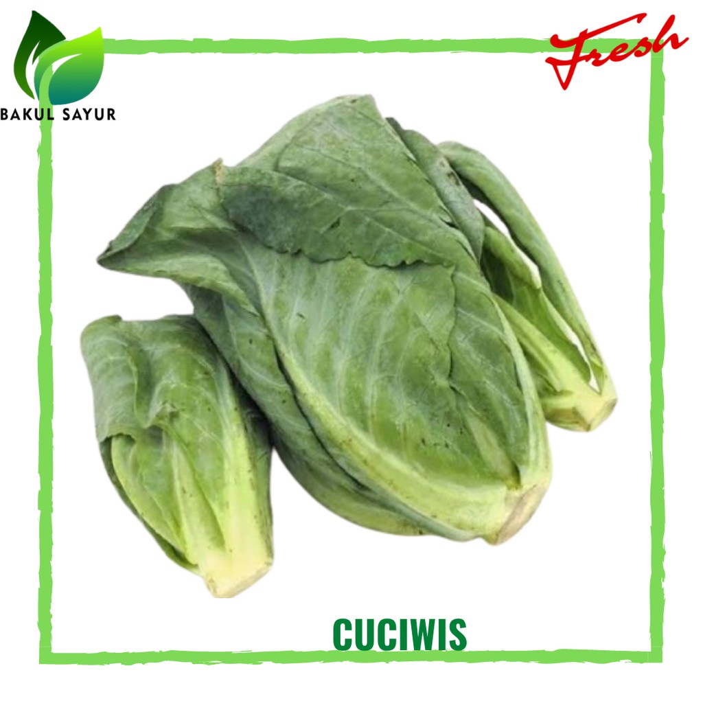 

CUCIWIS / CERIWIS HIJAU SEGAR 250 GRAM - SAYUR SEGAR JAKARTA TIMUR