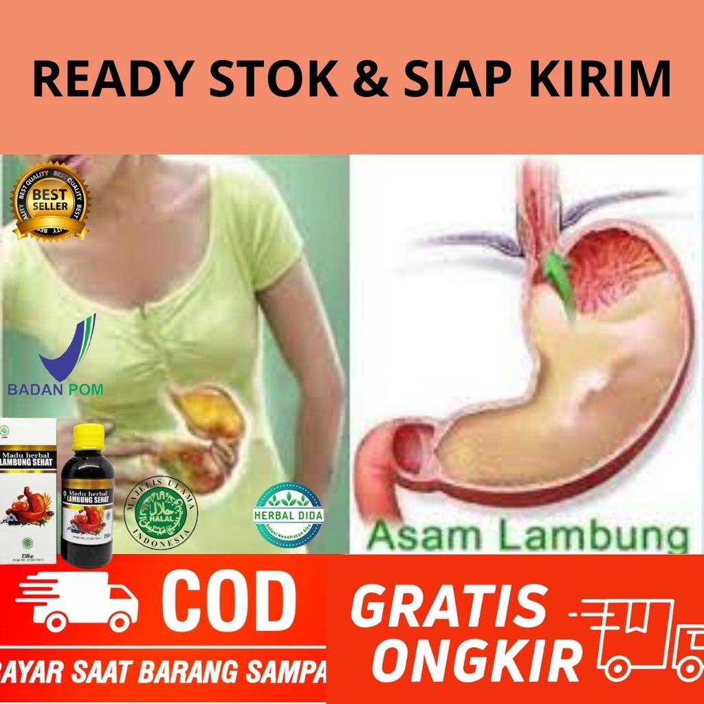 Obat Asam Lambung Kronis, Madu herbal Gerd Asam Lambung Tinggi Kronis,  Obat Sakit Magh Mag Maag Kro