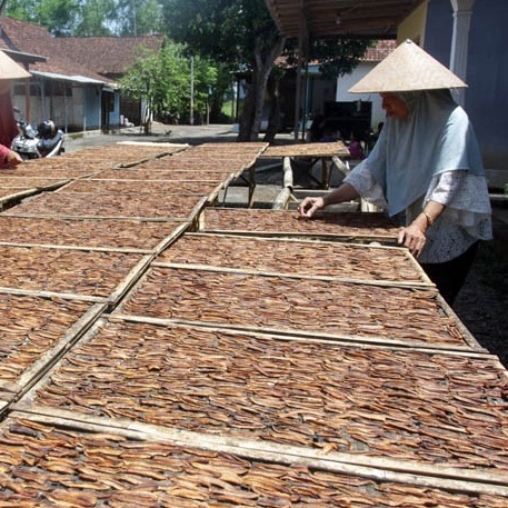 SALE PISANG TASIK 500gr