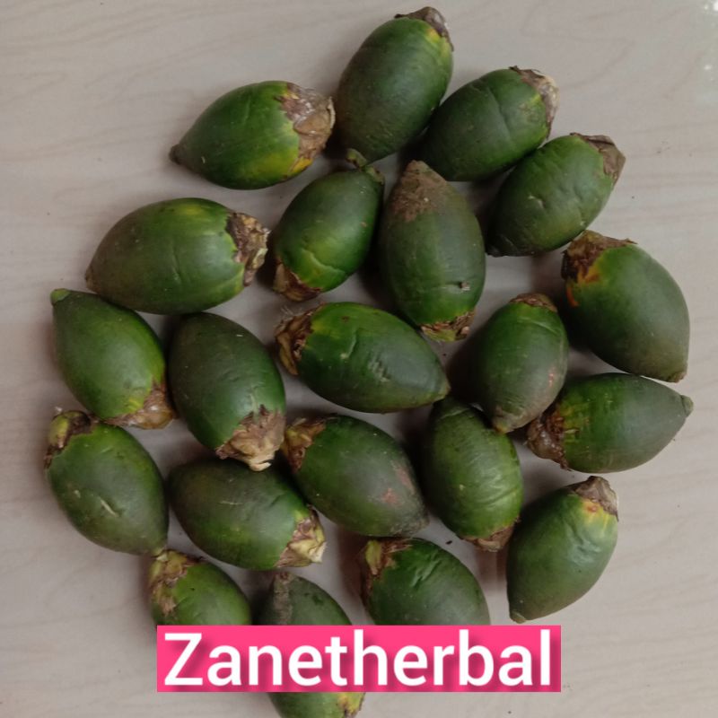 

Buah pinang muda super kondisi baru dan segar langsung petik-az