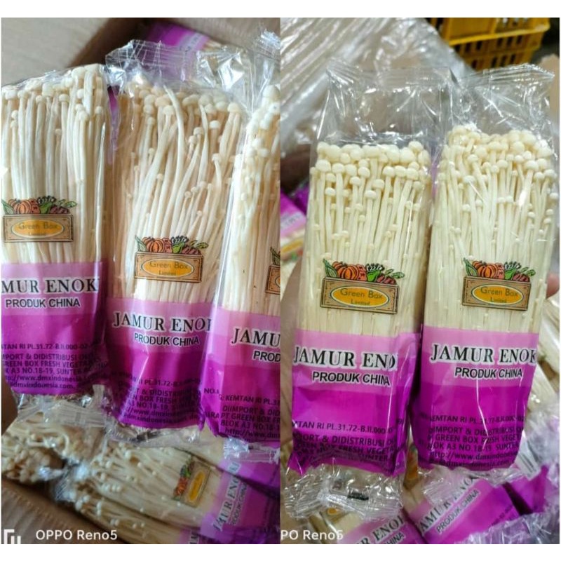 

jamur enoki