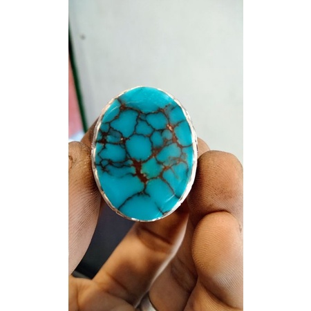 Natural pirus Mesir ceplok urat jala