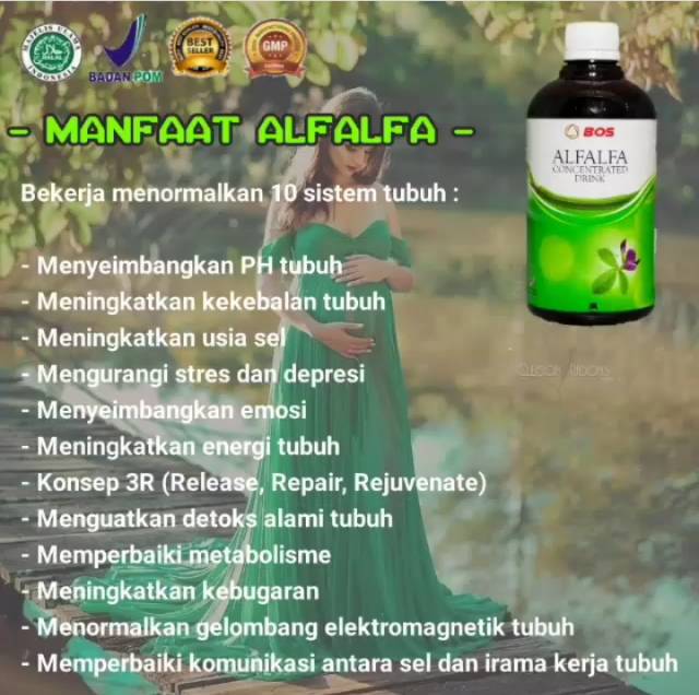 Promil Yang Terbukti Berhasil Jual Herbal Bee Agen Herbal Bee Distributor Herbal Bee Indonesia